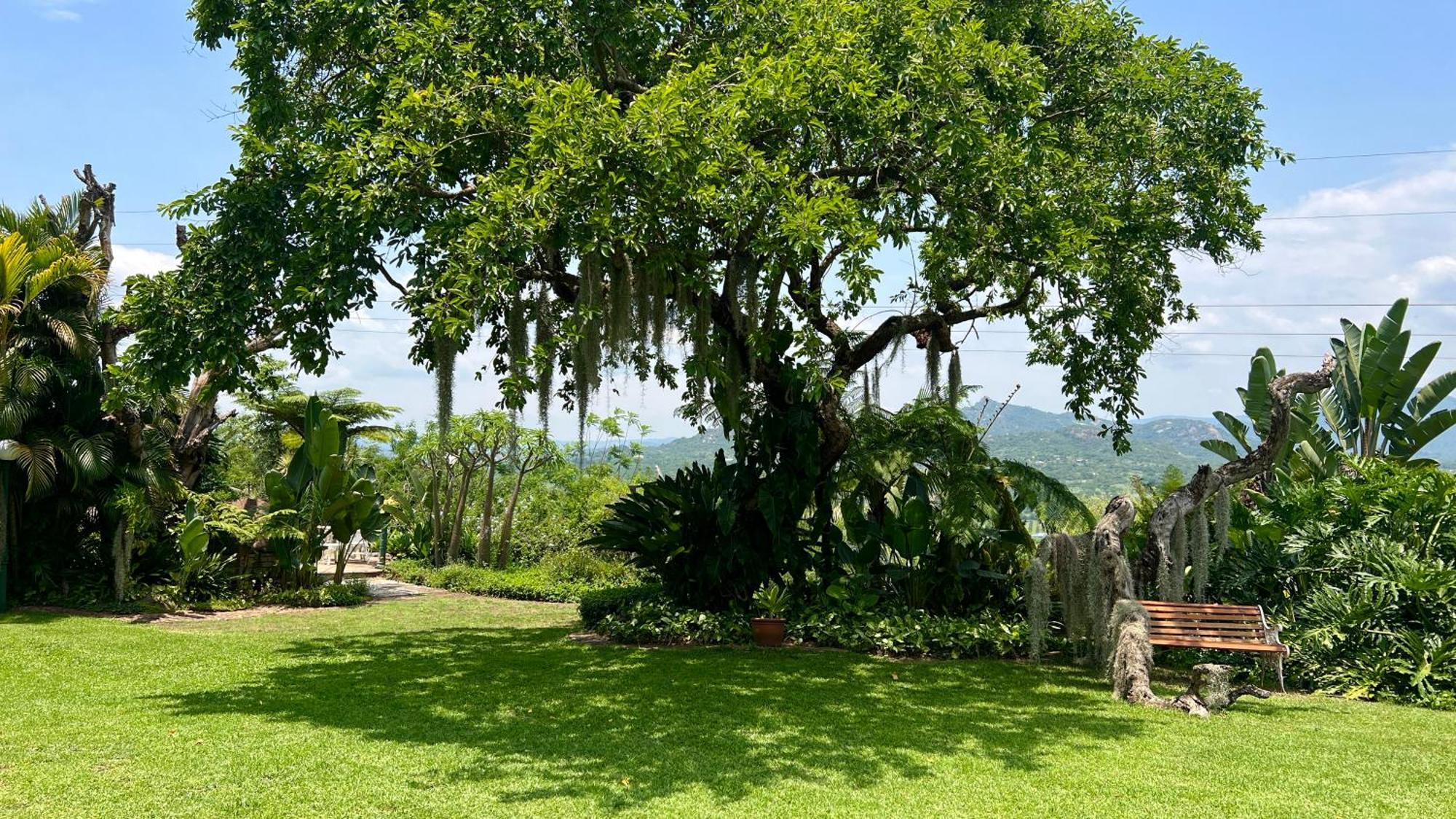 Loerieroep Estate - Mountainview Selfcatering Accommodation Nelspruit 内尔斯普雷特 外观 照片