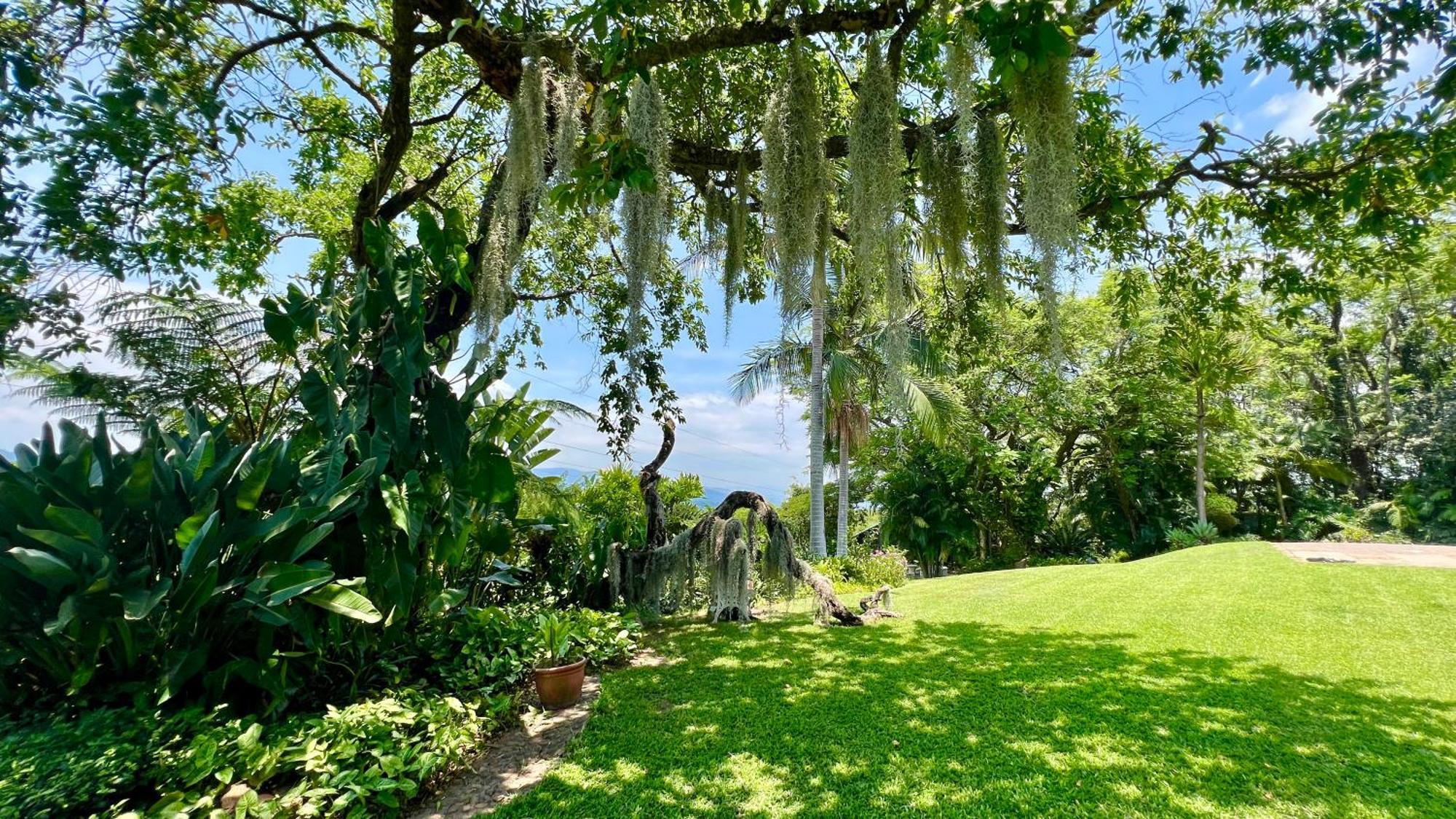 Loerieroep Estate - Mountainview Selfcatering Accommodation Nelspruit 内尔斯普雷特 外观 照片